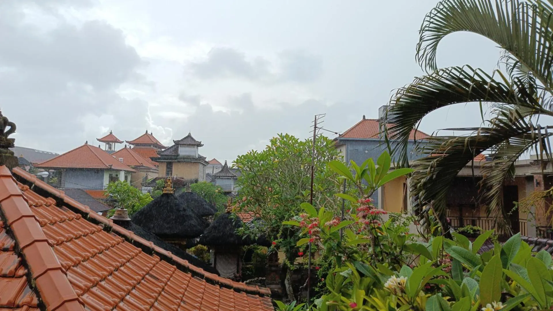 Nyoman House Ubud Indonézia